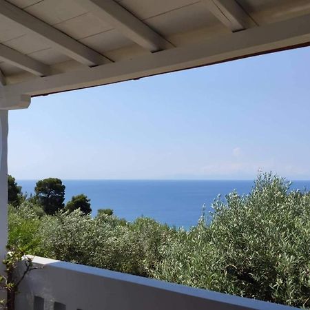 Ferienwohnung Elia House 1 Astoning Sea View Among The Olive Trees Patitiri Exterior foto