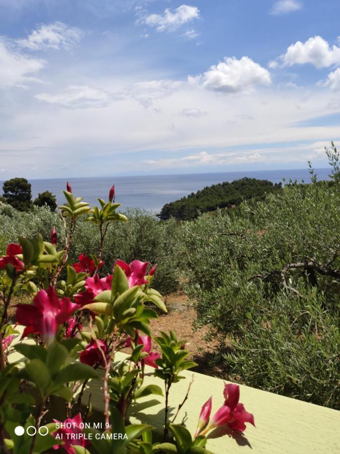 Ferienwohnung Elia House 1 Astoning Sea View Among The Olive Trees Patitiri Exterior foto