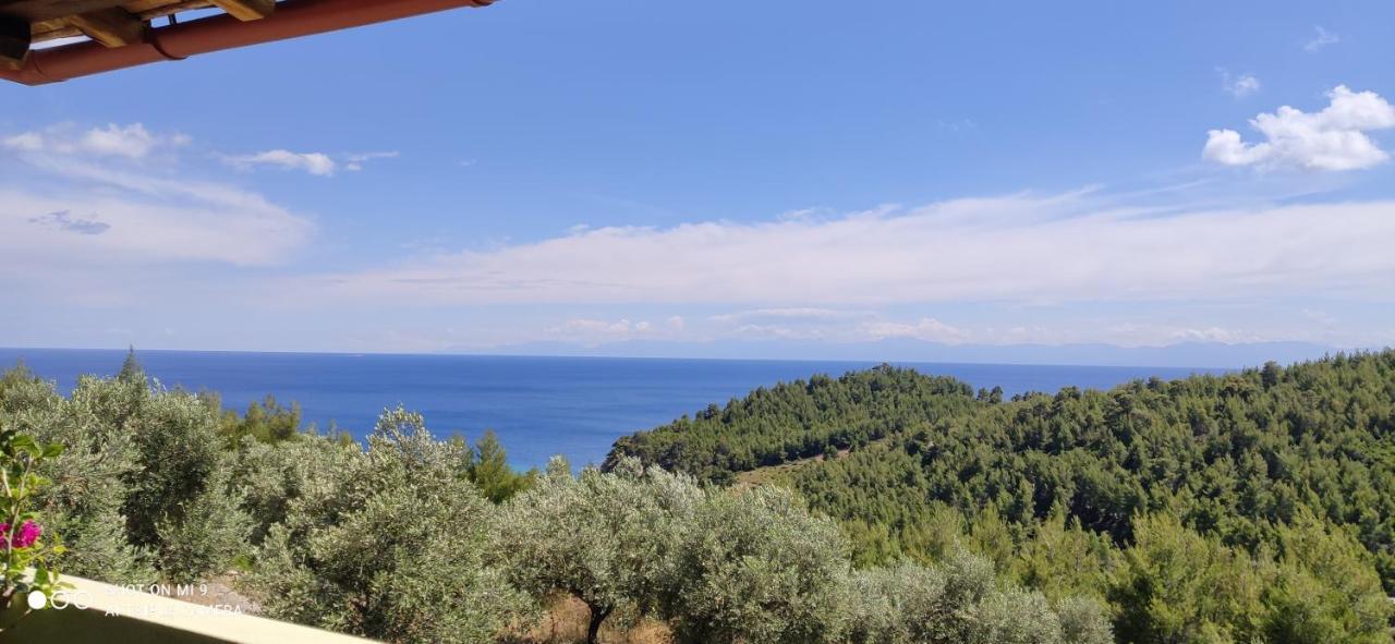 Ferienwohnung Elia House 1 Astoning Sea View Among The Olive Trees Patitiri Exterior foto