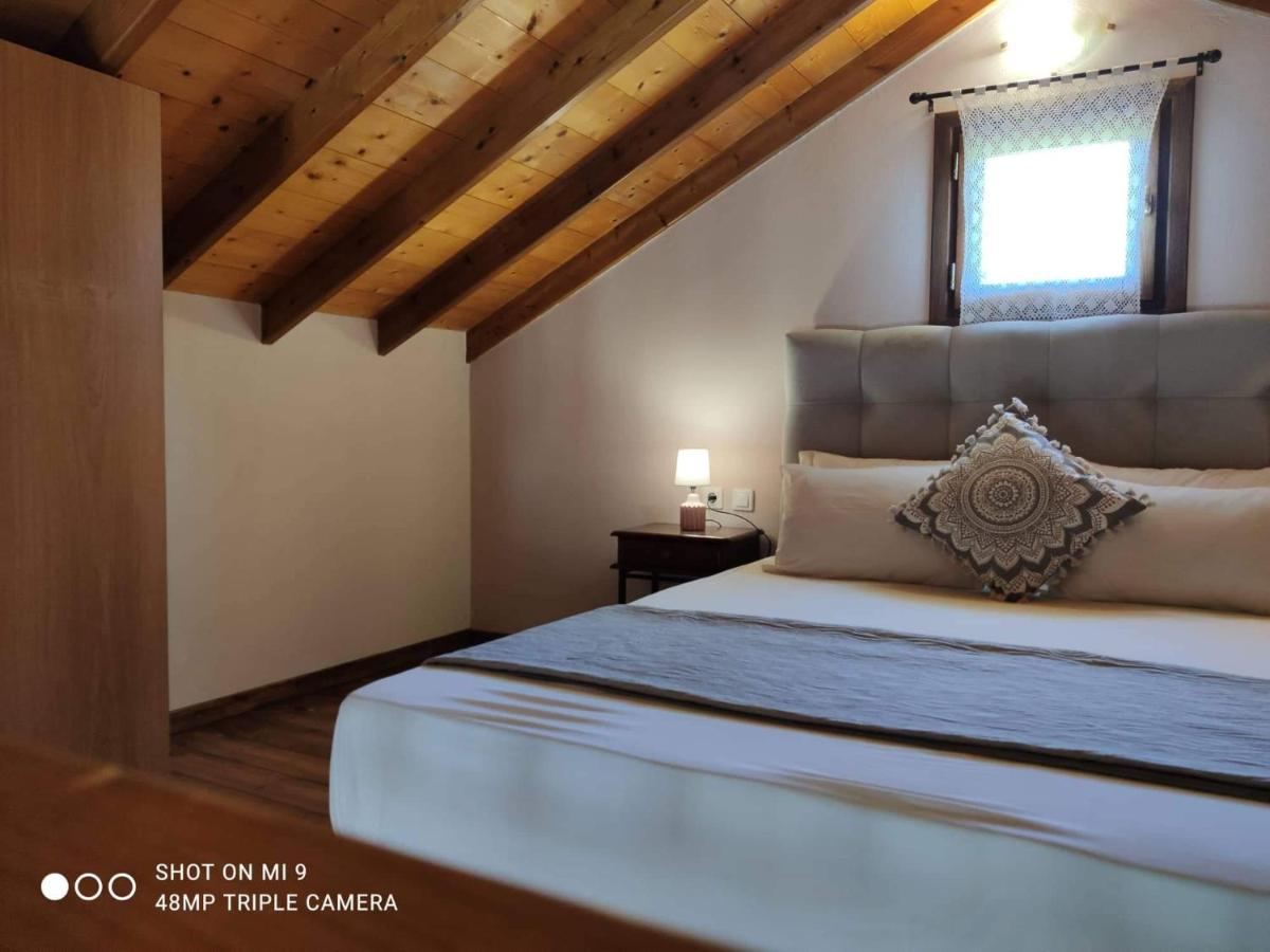Ferienwohnung Elia House 1 Astoning Sea View Among The Olive Trees Patitiri Exterior foto