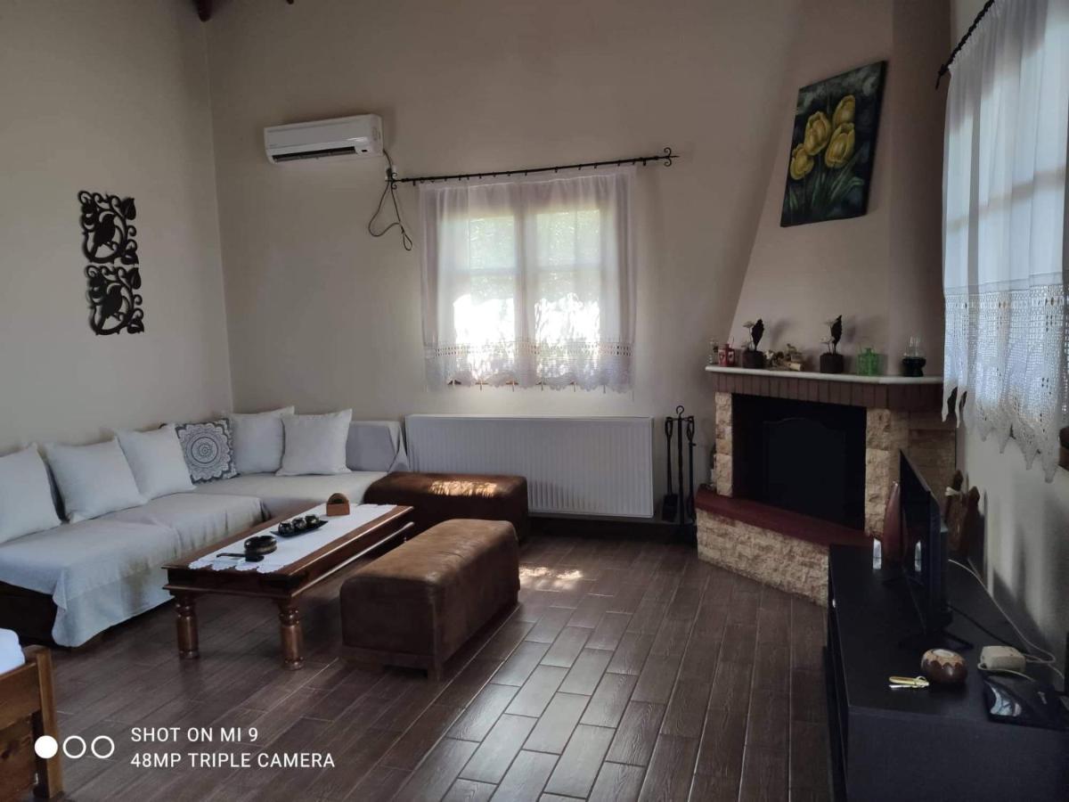 Ferienwohnung Elia House 1 Astoning Sea View Among The Olive Trees Patitiri Exterior foto