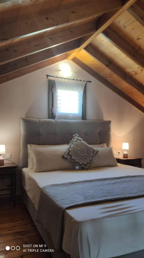 Ferienwohnung Elia House 1 Astoning Sea View Among The Olive Trees Patitiri Exterior foto