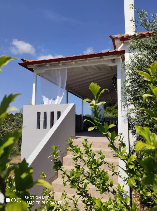 Ferienwohnung Elia House 1 Astoning Sea View Among The Olive Trees Patitiri Exterior foto