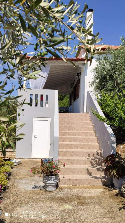 Ferienwohnung Elia House 1 Astoning Sea View Among The Olive Trees Patitiri Exterior foto